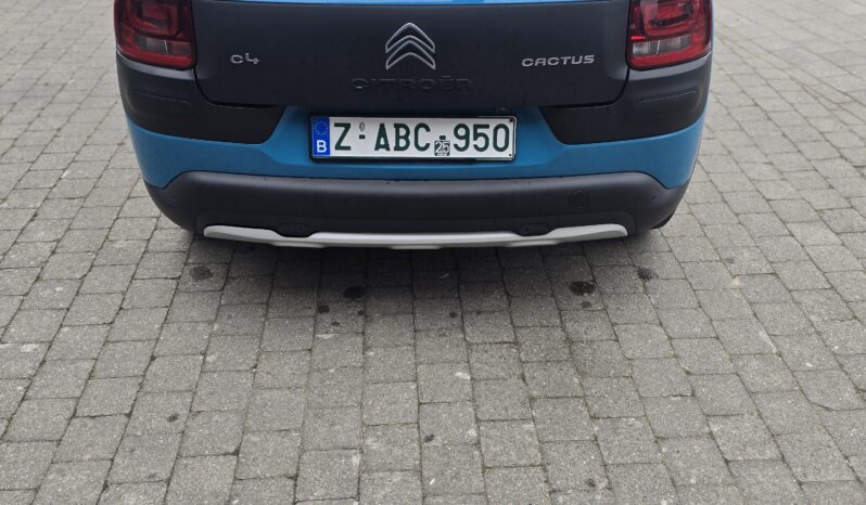 
								Citroen C4 Cactus full									