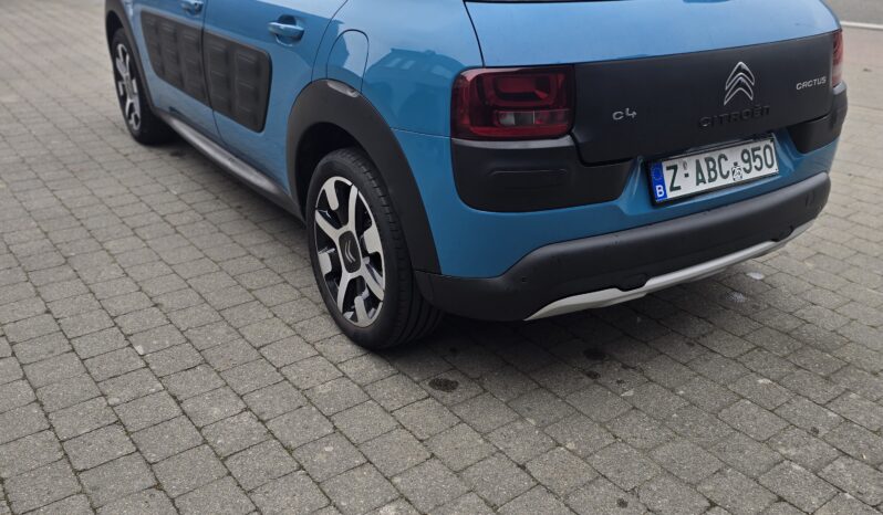 
								Citroen C4 Cactus full									